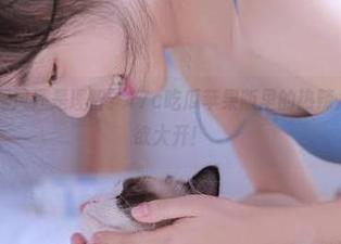 跟风还是理智？17c吃瓜苹果版里的热辣八卦真让人食欲大开！