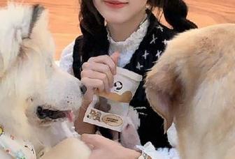 如果51吃瓜的视频能永久保留，车祸现场也太精彩了吧！