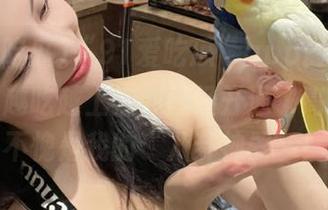 “91爱吃瓜”app最近推送的瓜，越吃越上瘾，已经开通了高配版，不愧是我的“八卦神器”！