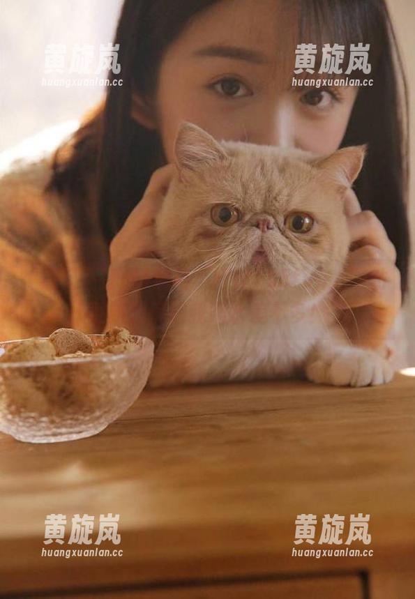 黑料不打烊 黑料不打烊155fun,网站更新速度跟我喝水差不多!
