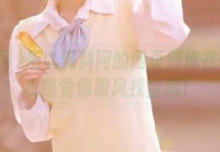 所以黑料网的网页到底在哪儿？我感觉像跟风找宝藏！